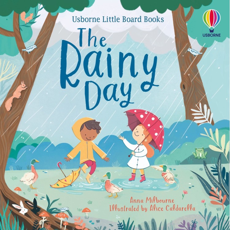 Usborne Little Board Book The Rainy Day